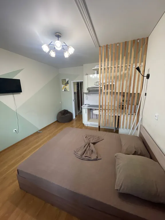 Уютна студия в Спутнике