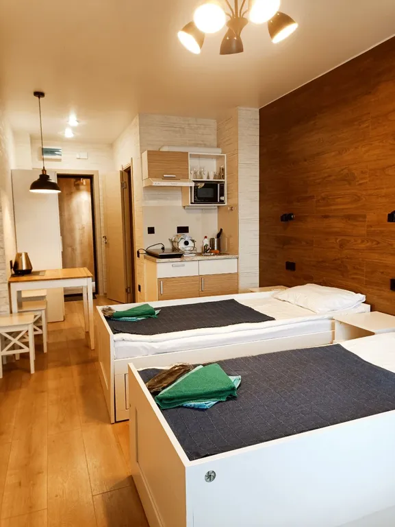 Квартира Трехместные апартаменты с кухней и видом на озеро — аренда посуточно в Мурманск