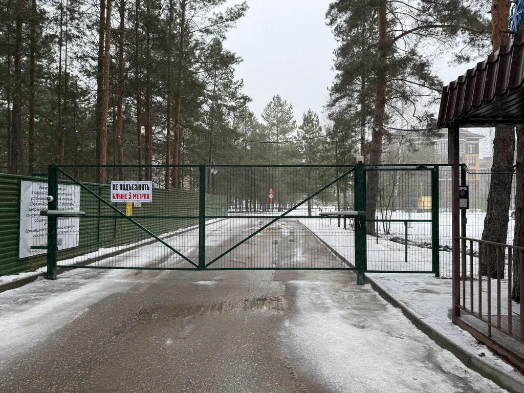 Апартамент в сосновом лесу