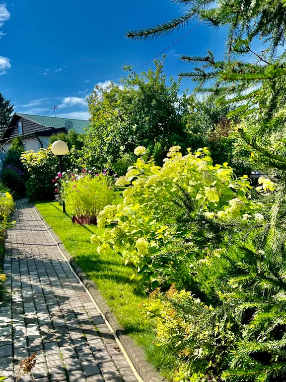 Коттедж Уютный домик с видом на музей — аренда посуточно в Ясная Поляна