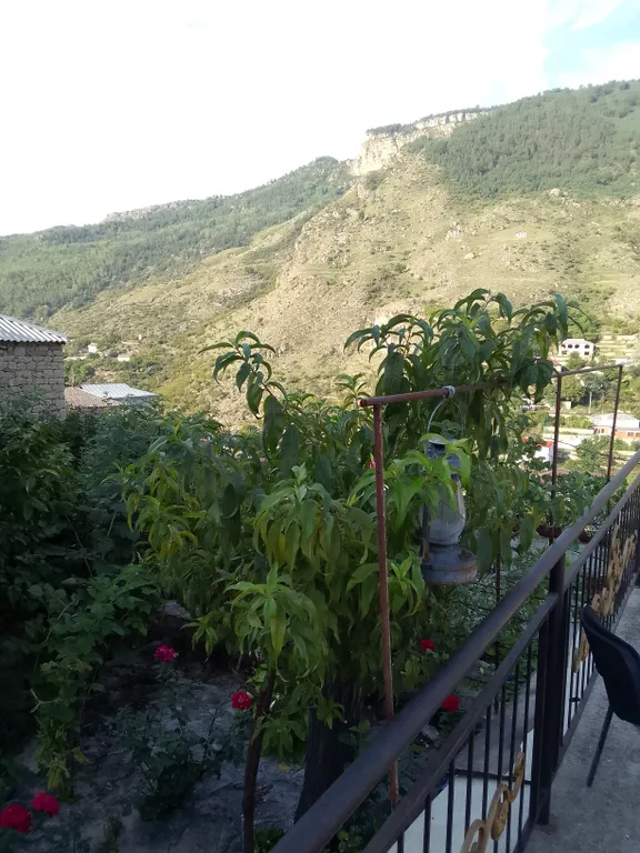 Уютный домик с видом на горы