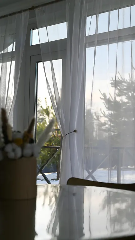 Новый дом в лесу