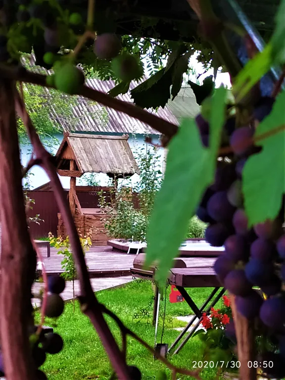 Кедровый дом для комфортного отдыха