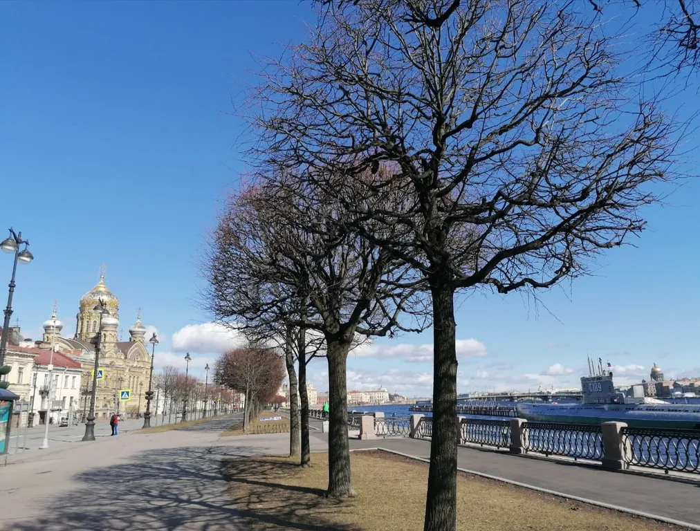 Большая квартира с видом на Неву