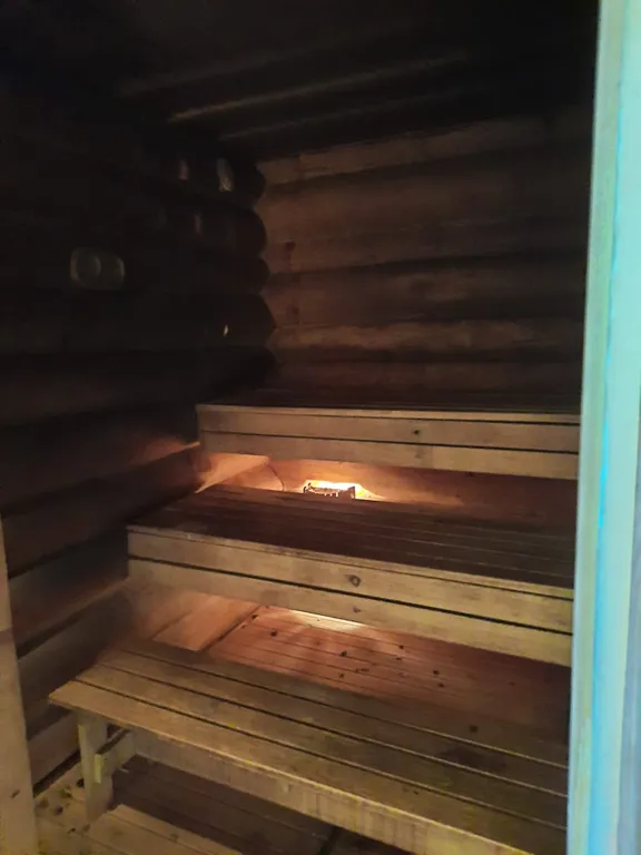 Лесная сказка