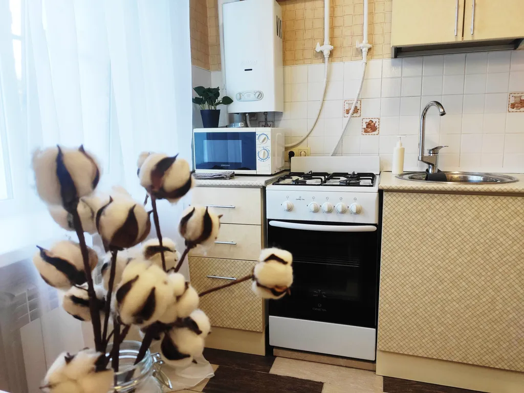 Квартира 1-комнатная в историческом центре рядом с отелем Марриотт — Воронеж