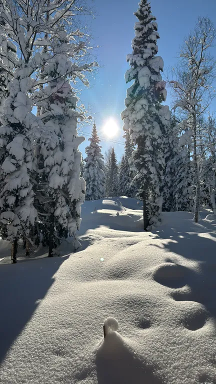 Коттедж Теплый и светлый гостевой дом в лесу — Шерегеш