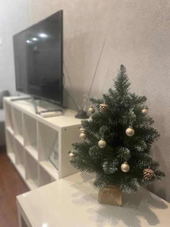 Двухкомнатная квартира в центре города