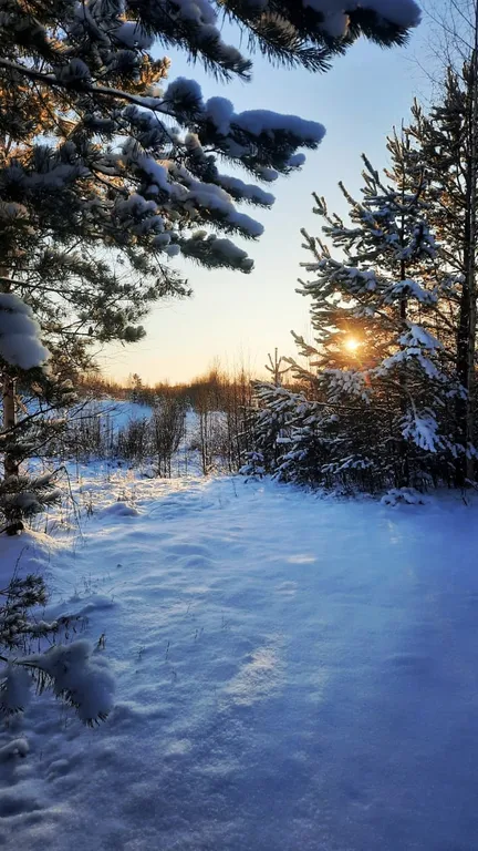 Дом Ярвиранта на берегу озера