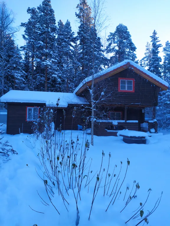 Домик на Карельском перешейке