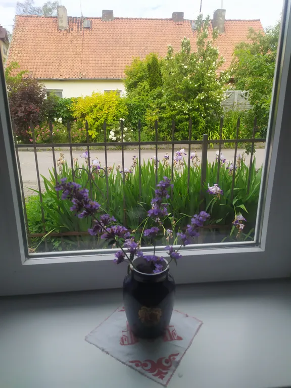 Квартира Квартира для любителей минимализма — Пионерский