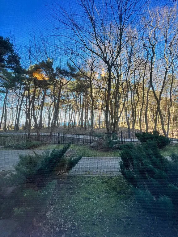 Апартаменты с видом на море