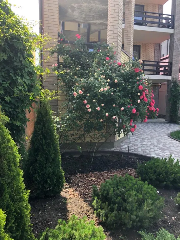 Квартира Комната — Анапа