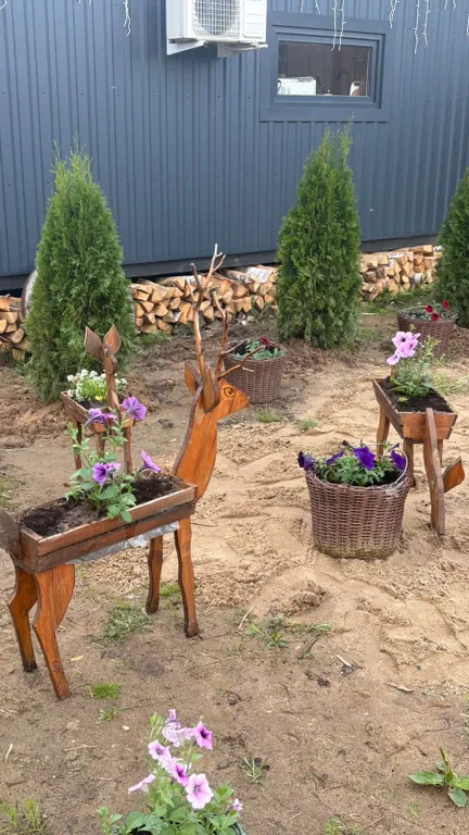 Домик у леса, на территории проживают кролики