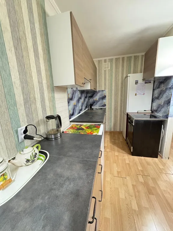 Квартира Квартира Уютная евро-трешка в Пушкине — Пушкин