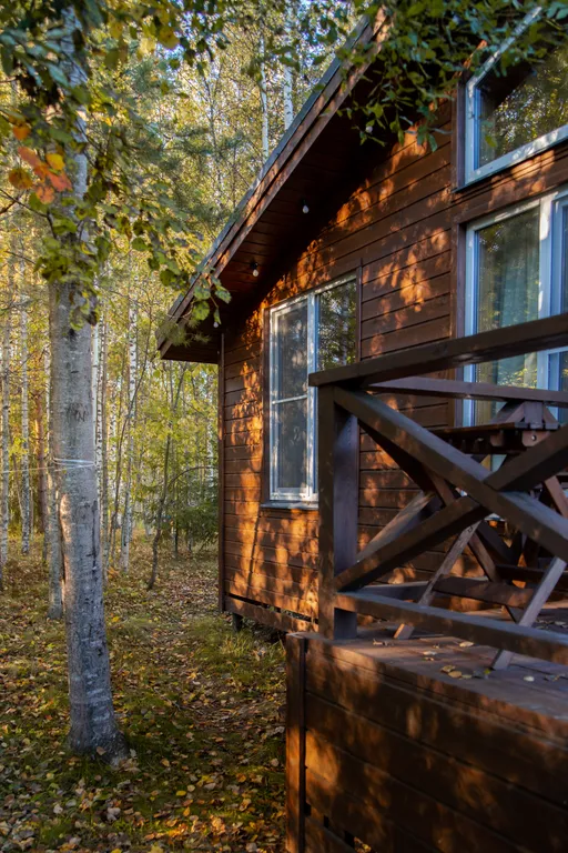 Коттедж Дом в скандинавском стиле — Приладожское