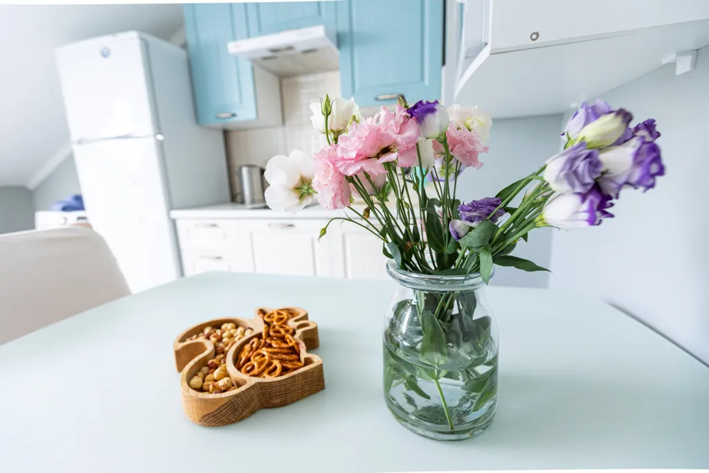 Студия в Красной Поляне