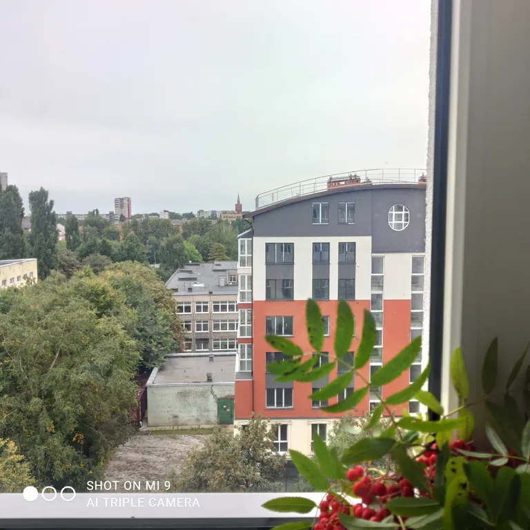 Квартира Квартира Гармония на берегу Рыбной Деревни — Калининград