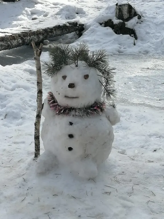 Коттедж Коттедж Лес хрустальной песни — Архыз