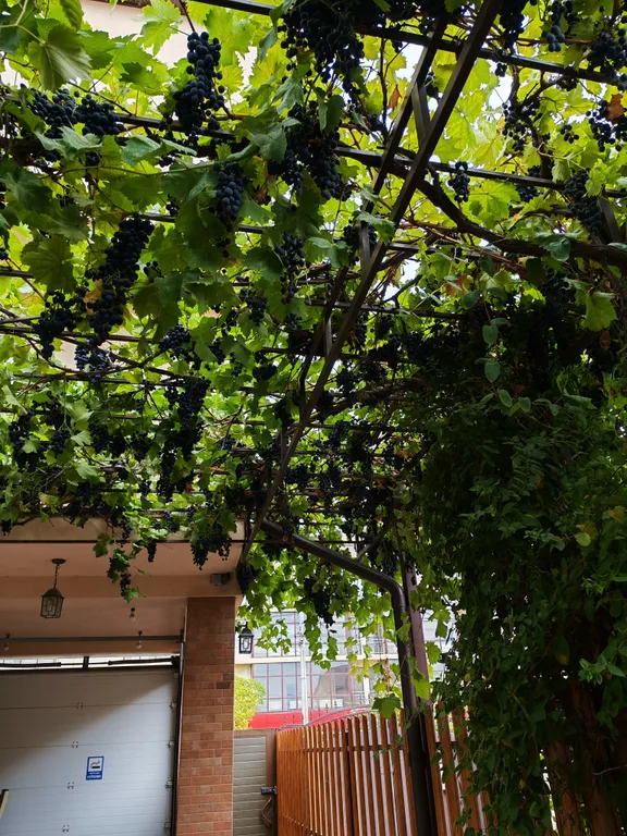 Квартира Квартира Уютная студия недалеко от моря — Анапа