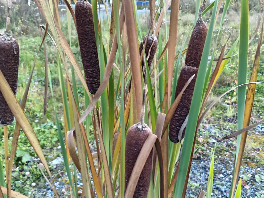 Гостевой дом премиум класса