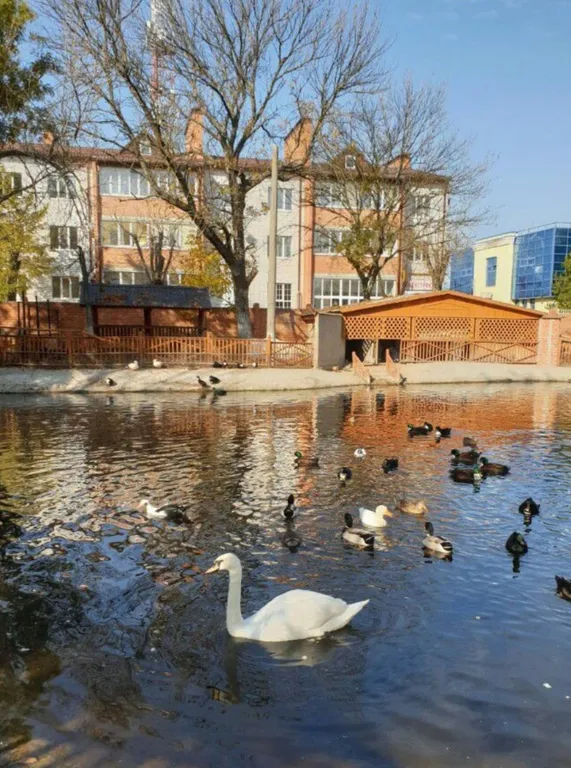 Отличная квартира