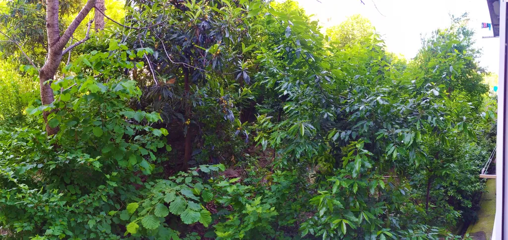 Квартира Уютная квартира у моря — Лазаревское