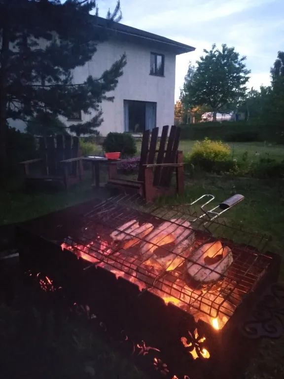 Дом с видом на лес