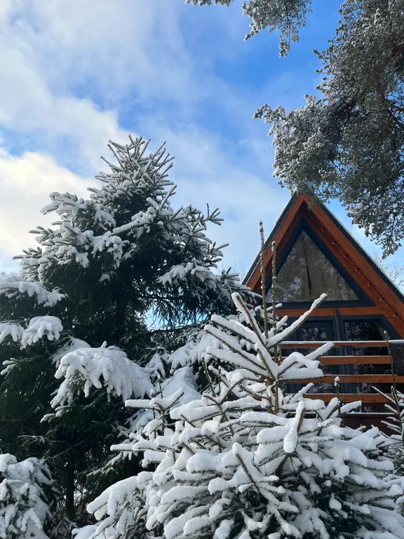 Коттедж Коттедж Шапкинские высоты — Тосно