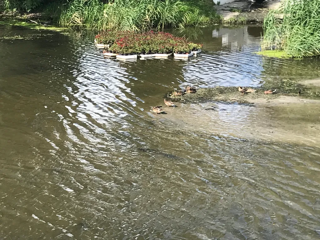 Апартаменты в ЖК Париж, центр. Парк Победы! Вода горячая есть.