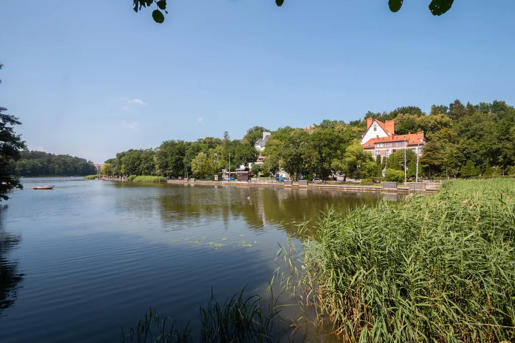 Двухкомнатная квартира Арт в Светлогорске 2  в 750 м от моря