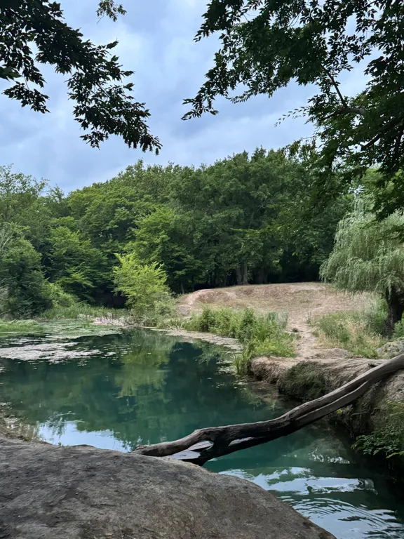 Уютный дом для семейного отдыха прямо у леса