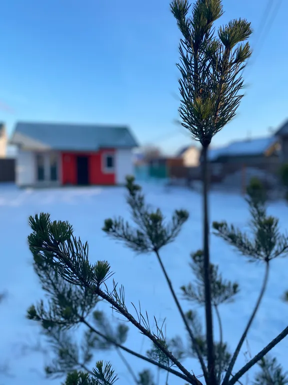 Коттедж Bogdanov House — аренда посуточно в Ярославль
