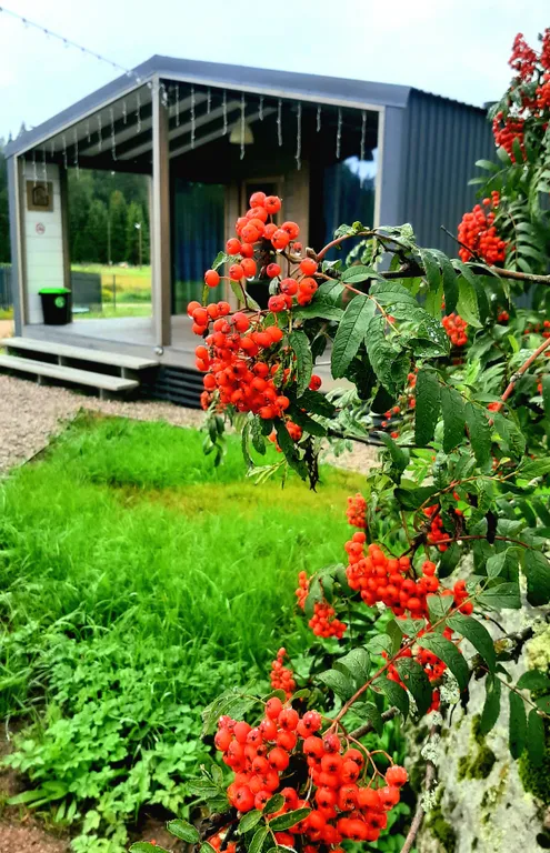 Дом с баней