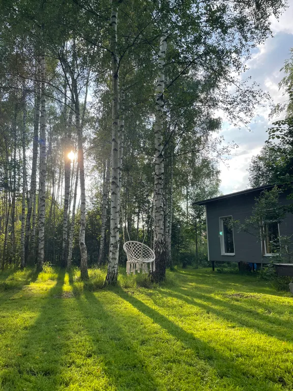 Лес, камин, сауна, терраса, мангал и полное уединение без соседей