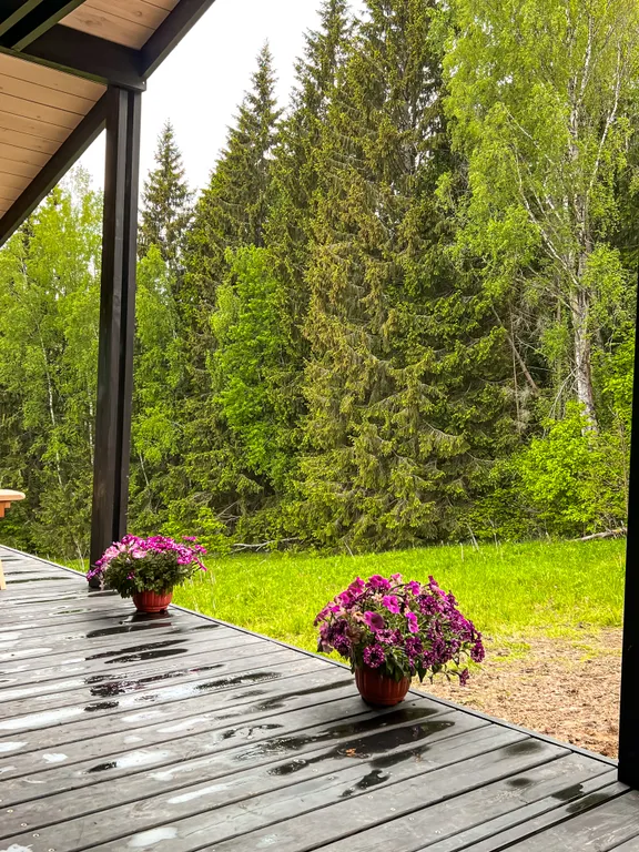 Сканди Domingo Dacha