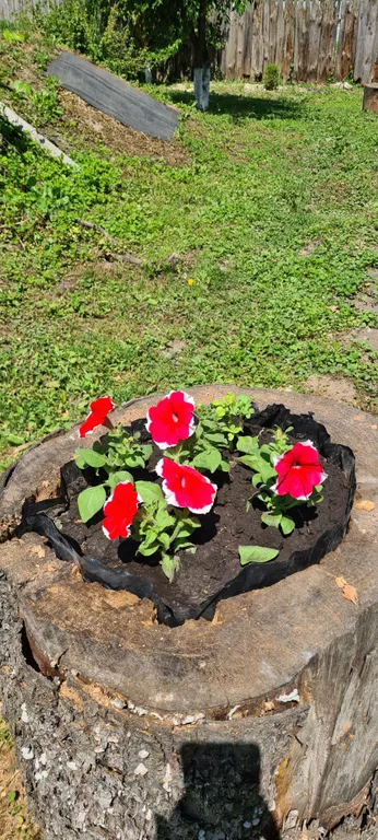 Уютный дом в центре города