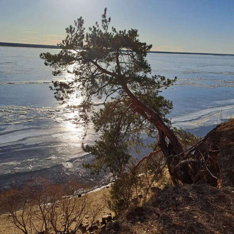 Уютный дом с баней