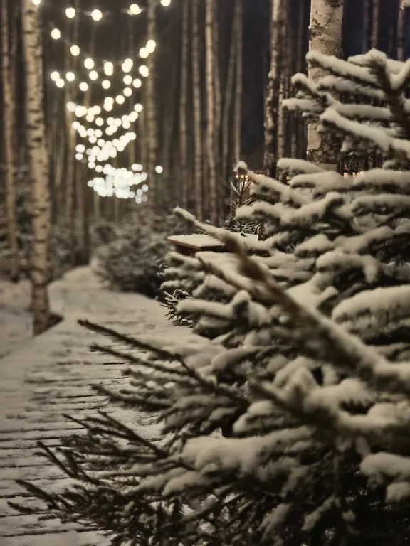 Коттедж Зеркальный дом с 2 спальнями, беседкой, собственной баней и купелью — Семеновское