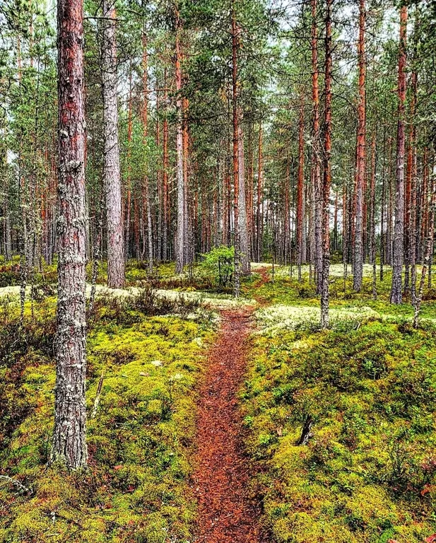 Гостевой дом в бухте Терву