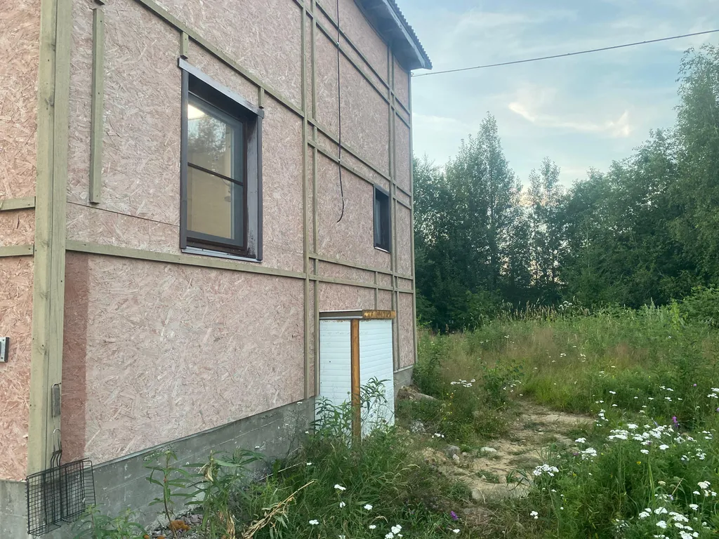 Залив Филина