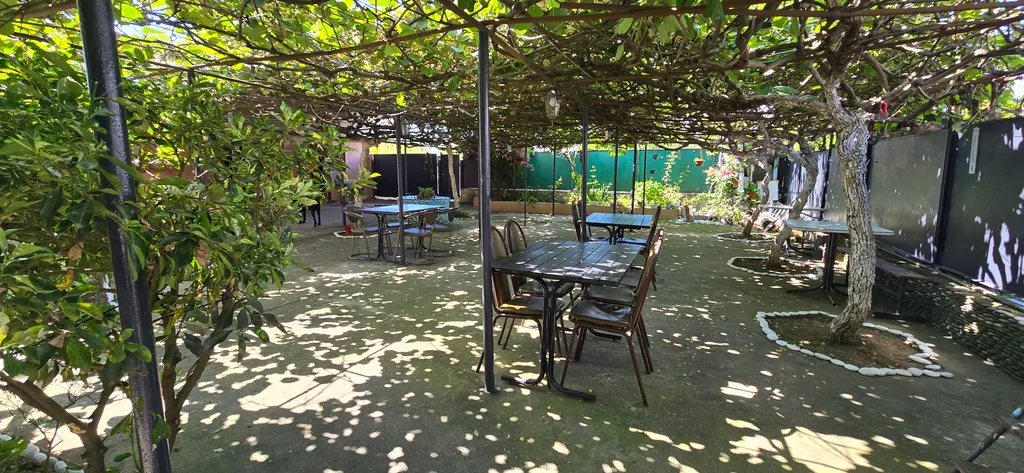 В тени киви