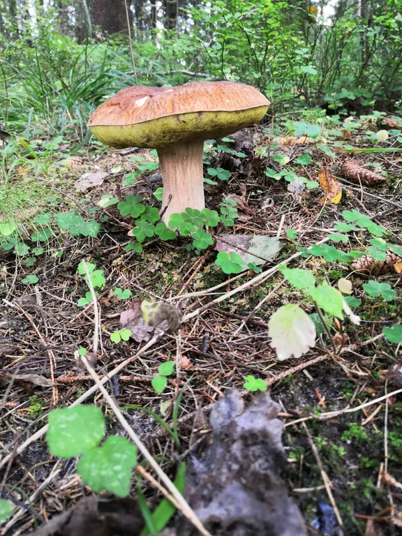 Дом на Селигере