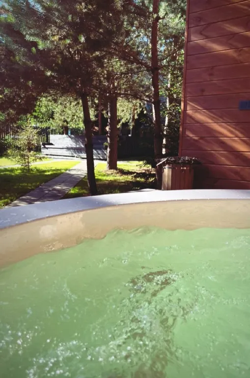 Треугольный дом в 25км от Минска с баней и горячей купелью в лесу