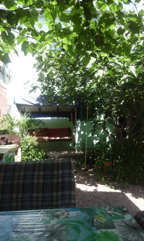 Дом с гранатовым деревом