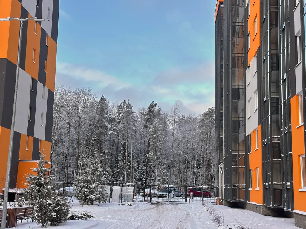 Студия с видом на лес