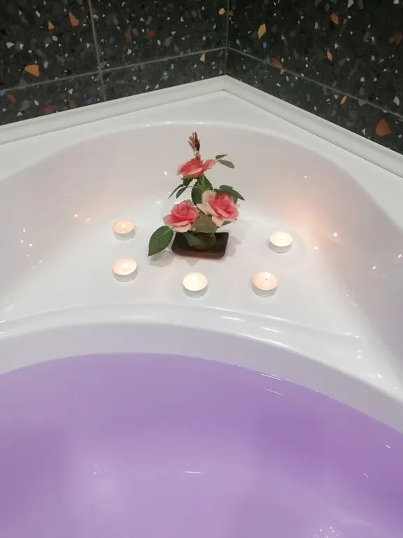 Современная студия с огромной ванной