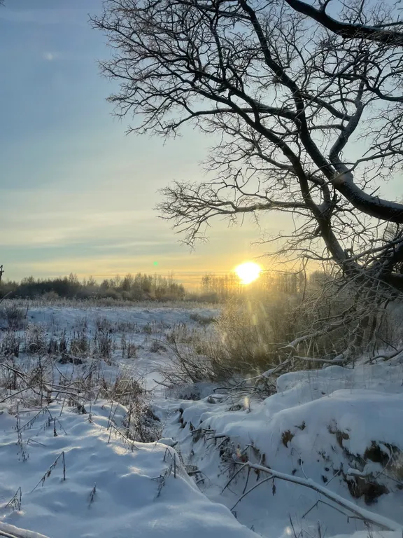 Дом с баней на берегу реки Волга с большой территорией