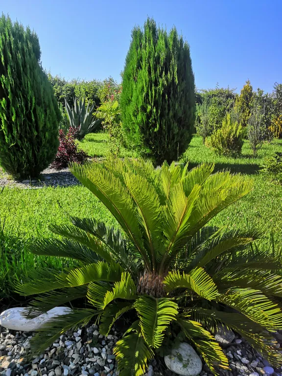 Квартира Квартира Санрайз 2 — Алахадзы