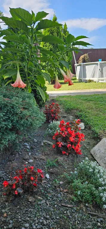 Гостевой Дом Азалия Комната Фламинго в жилом доме в 50 от моря